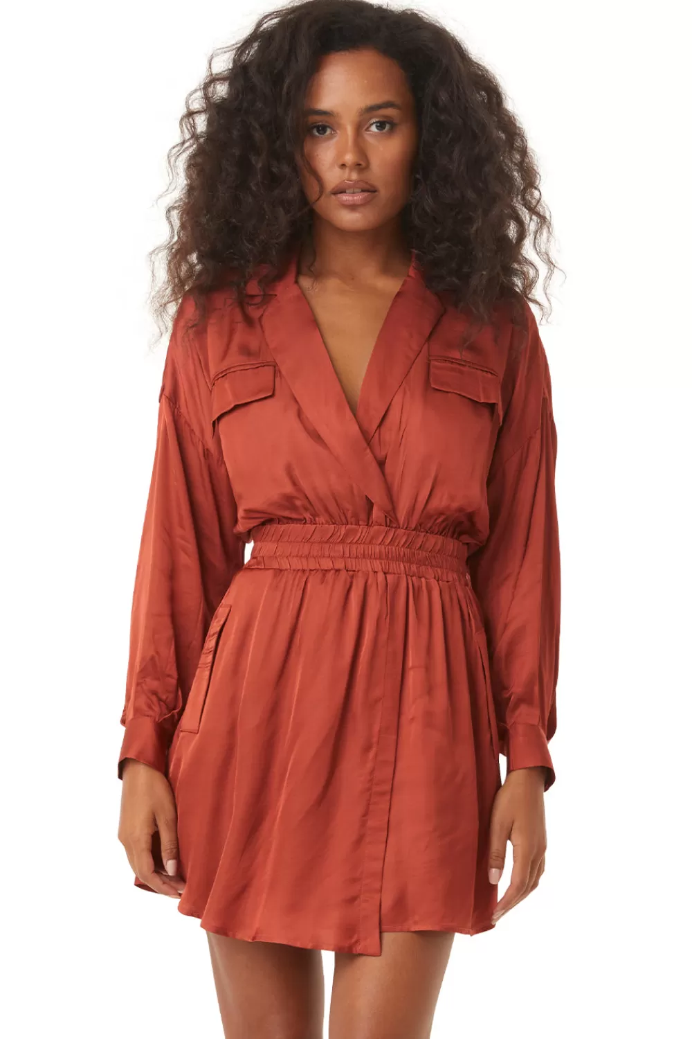 MISA Los Angeles DANIELLE DRESS* Dresses